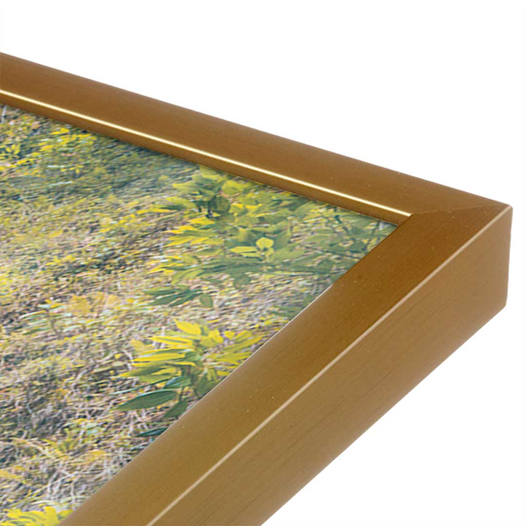 [Color:Polished Gold], Picture of art in a Polished Gold frame at an angle