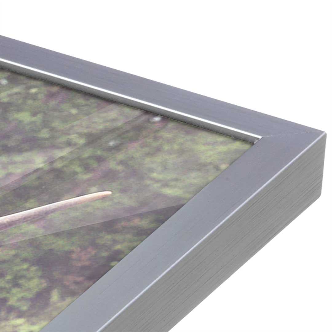 [Color:Polished Chrome], Picture of art in a Polished Chrome frame at an angle