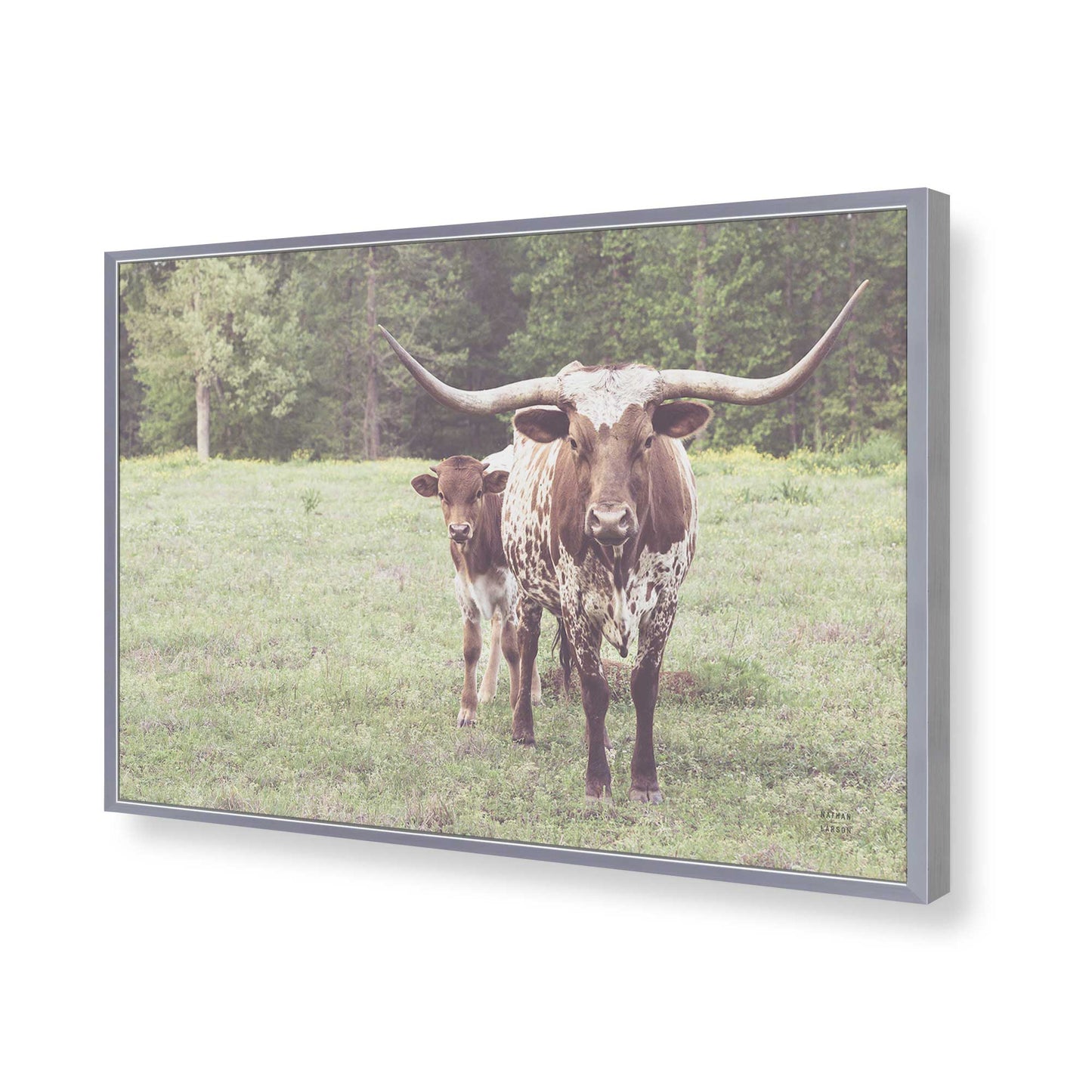 [Color:Polished Chrome], Picture of art in a Polished Chrome frame of the corner