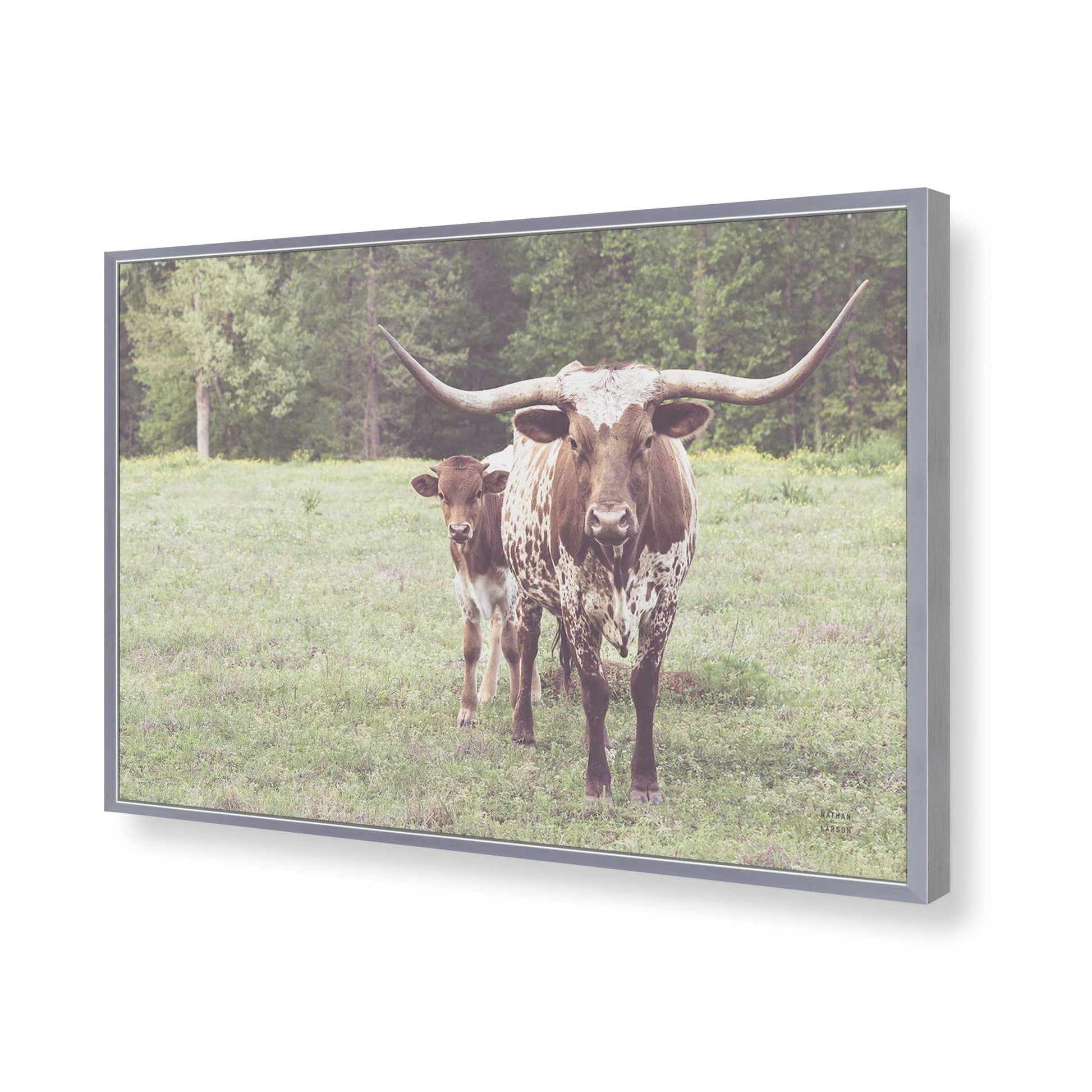 [Color:Polished Chrome], Picture of art in a Polished Chrome frame of the corner