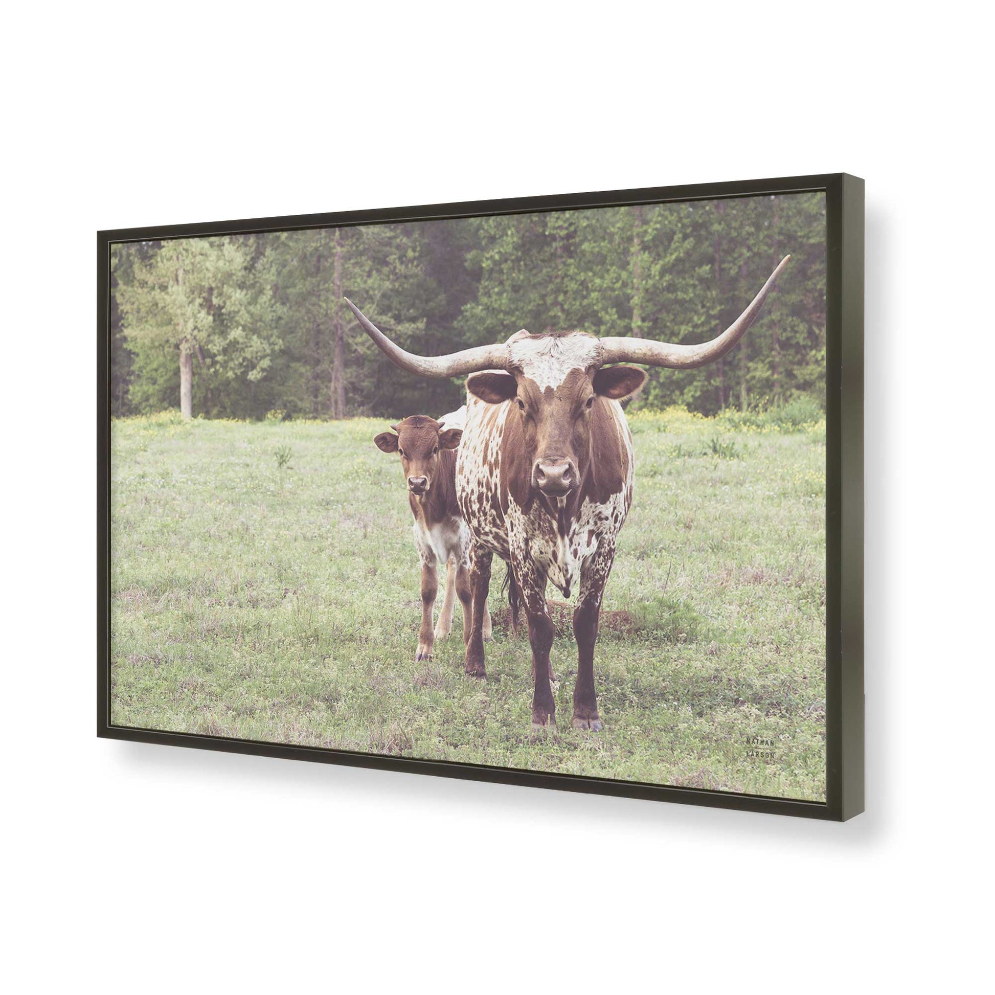 [Color:Satin Black], Picture of art in a Satin Black frame of the corner