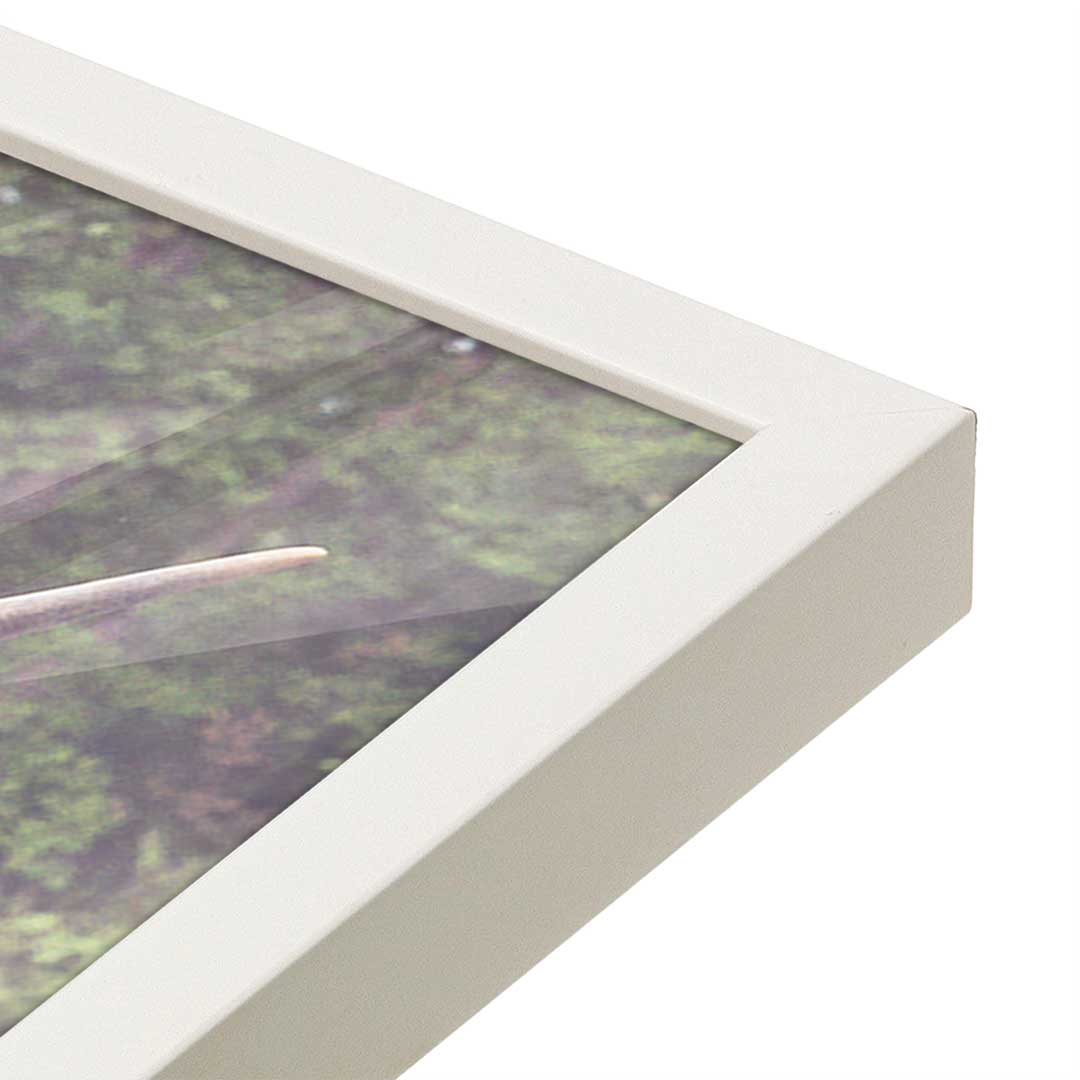 [Color:Opaque White], Picture of art in a Opaque White frame at an angle