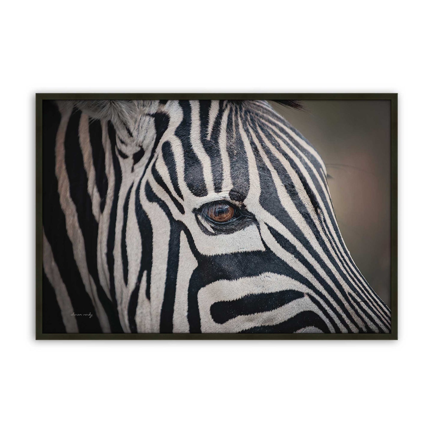 [Color:Satin Black], Front of the art