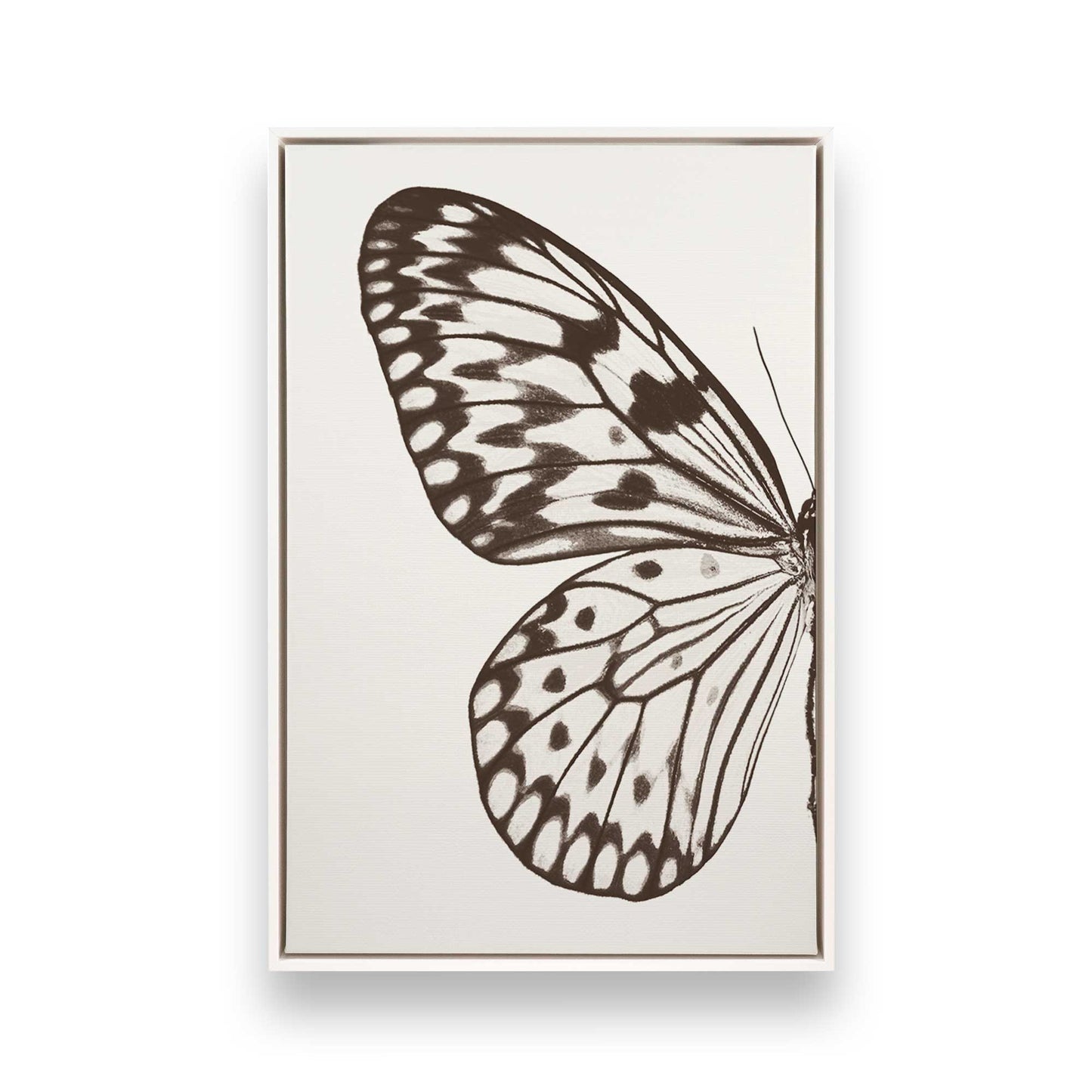 [Color:Opaque White], Picture of art in a White frame