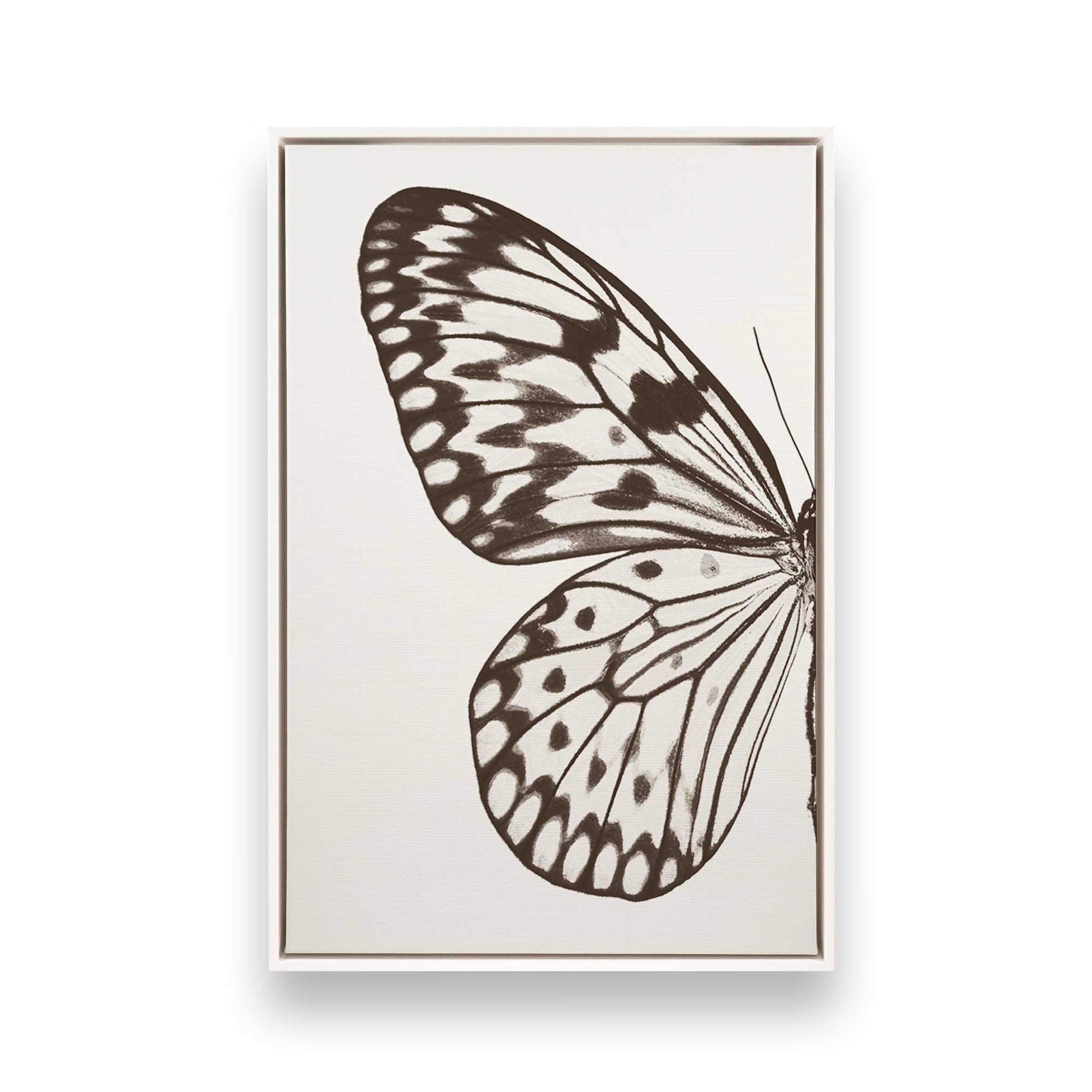 [Color:Opaque White], Picture of art in a White frame