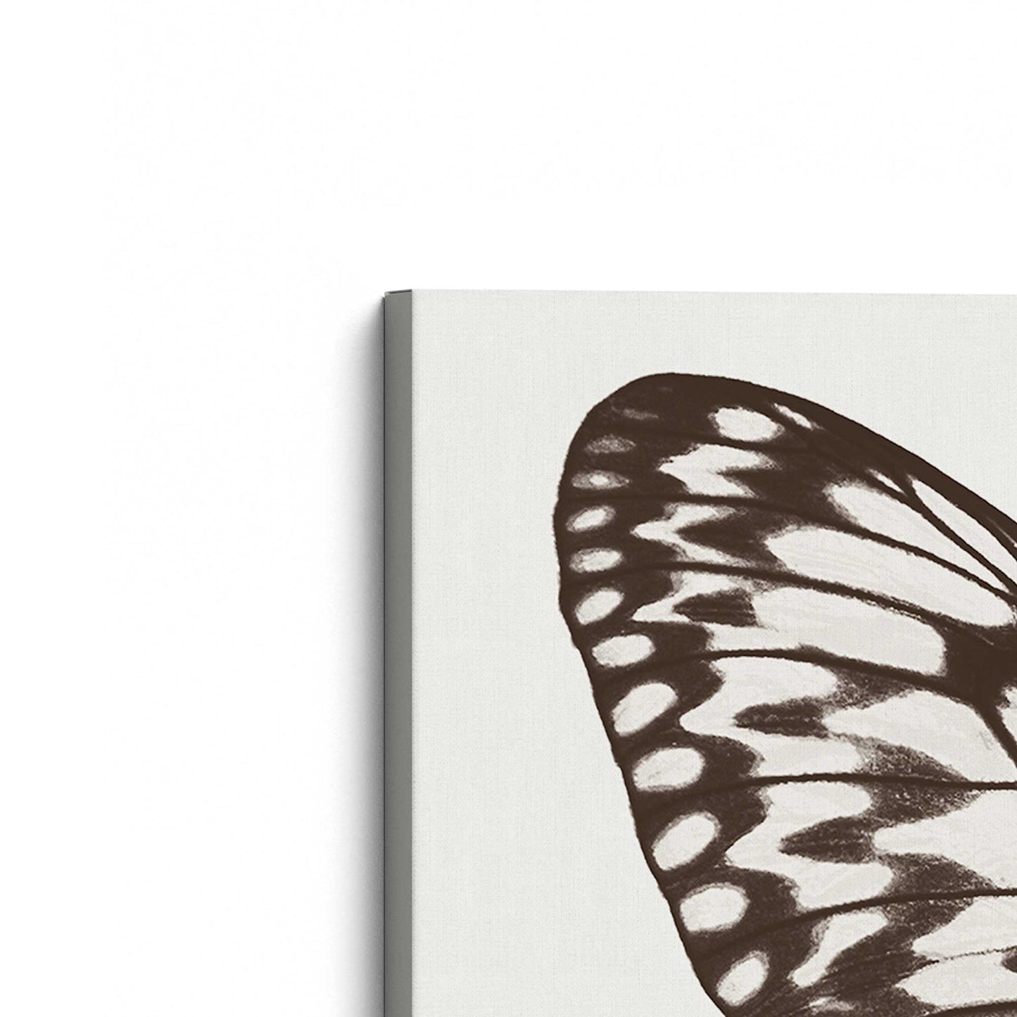 [Color:Stretched Canvas], Picture of the corner of the art