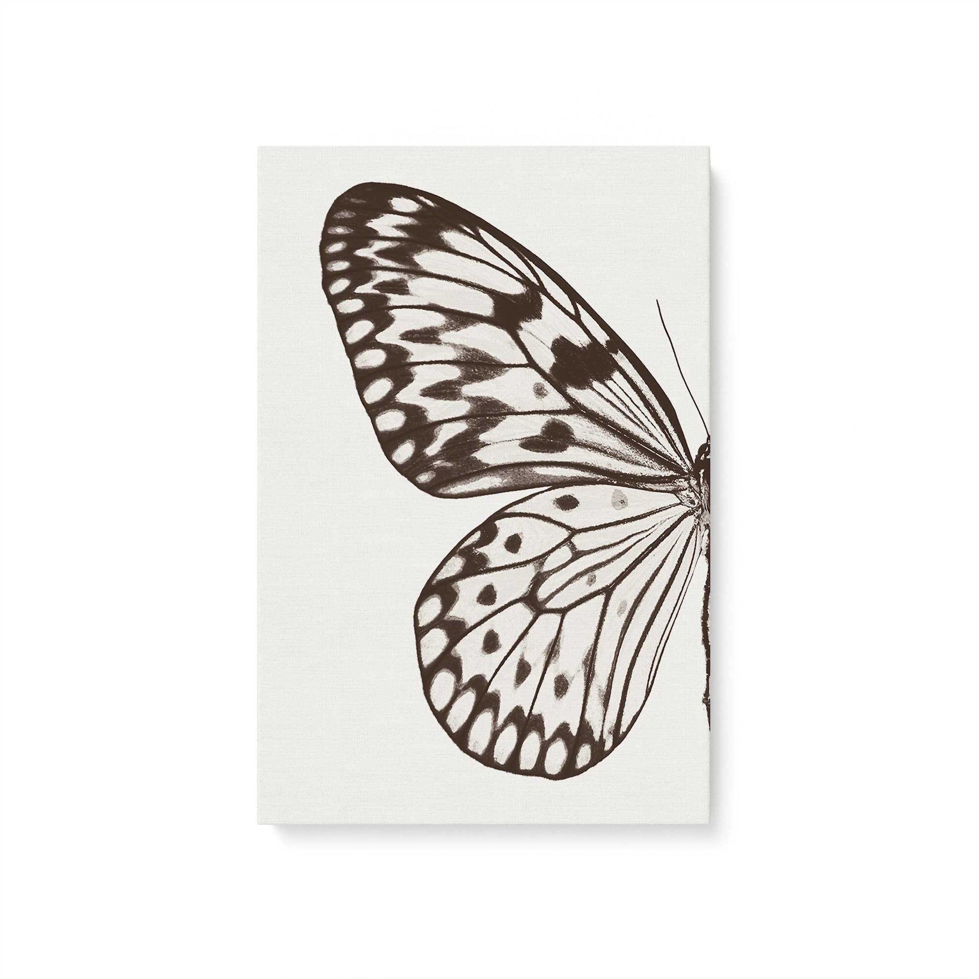 [Color:Stretched Canvas], Picture of art