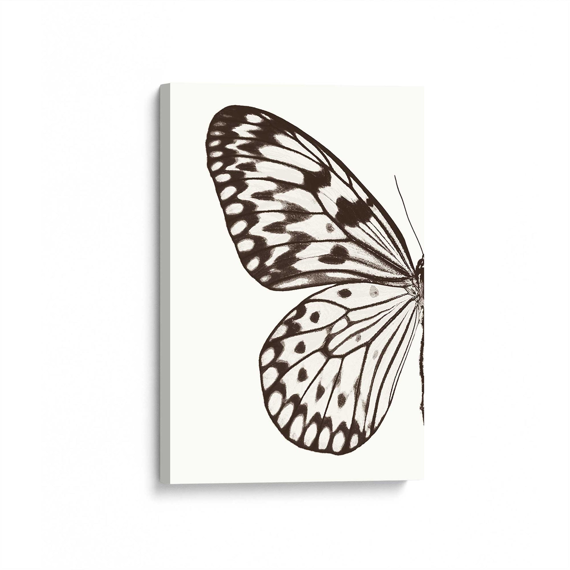 [Color:Stretched Canvas], Picture of art at an angle
