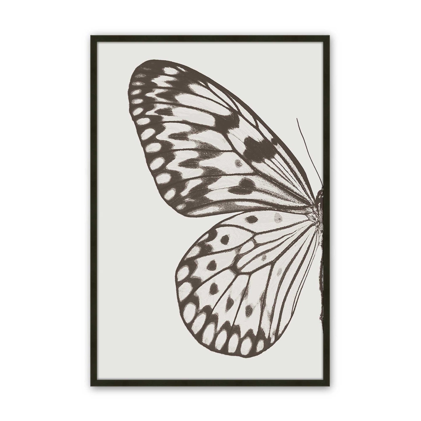 [Color:Satin Black], Picture of art in a Satin Black frame