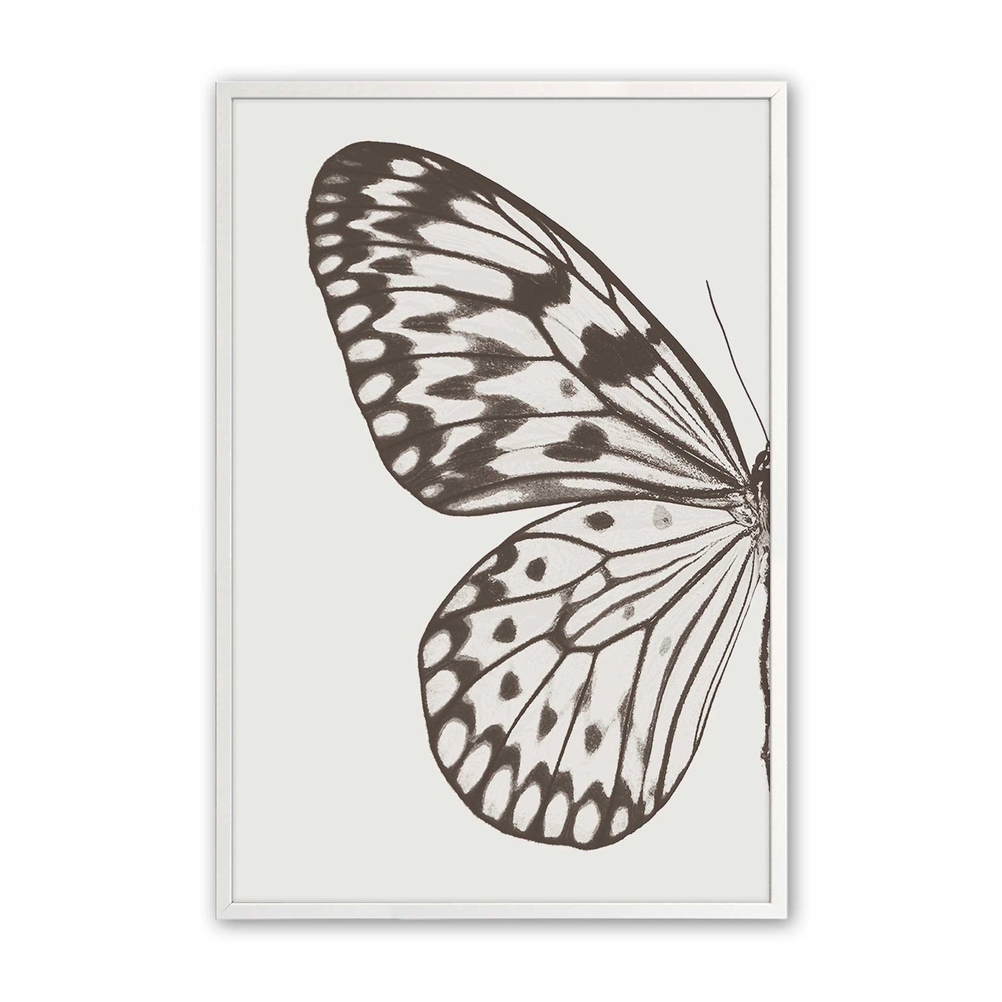 [Color:Opaque White], Picture of art in a Opaque White frame