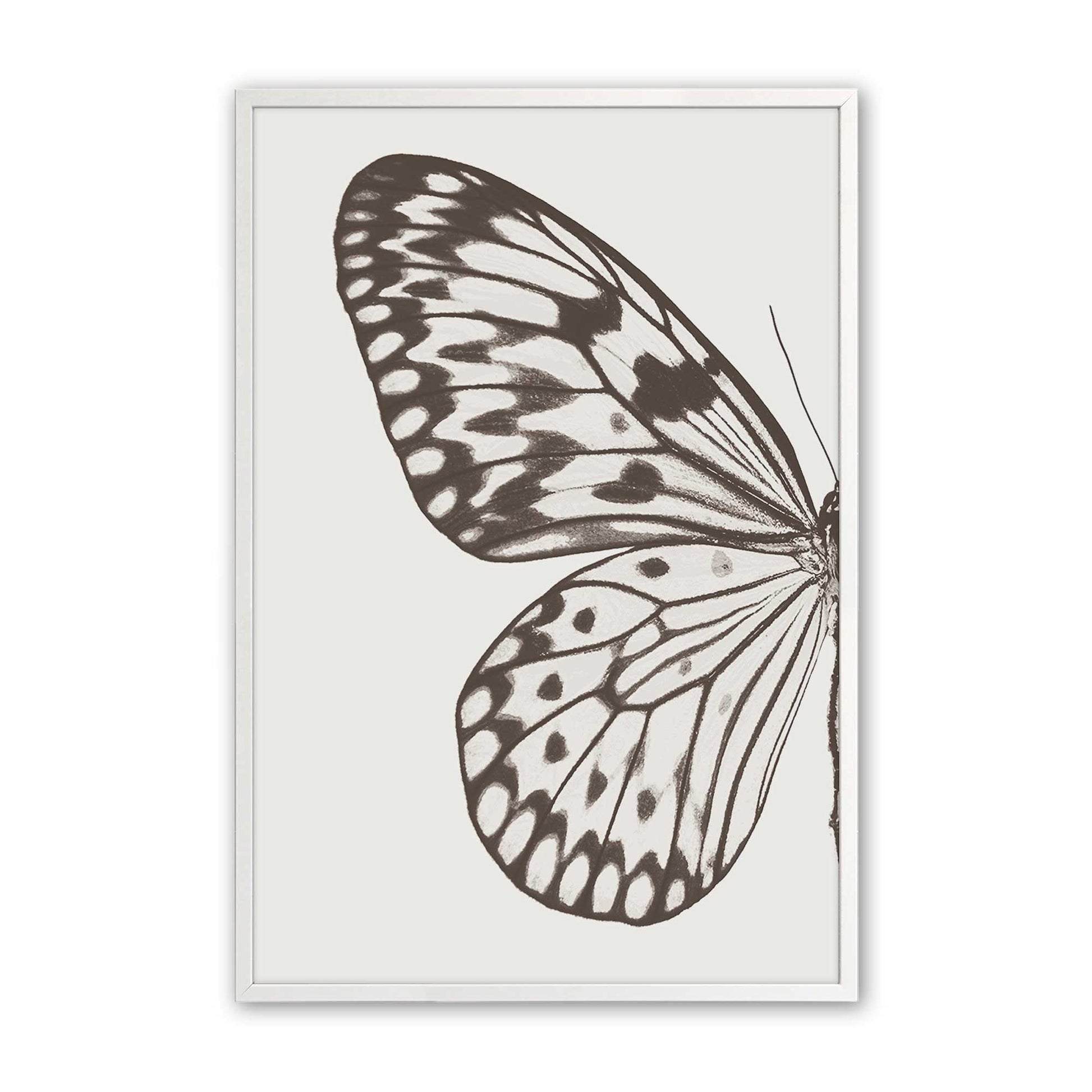 [Color:Opaque White], Picture of art in a Opaque White frame