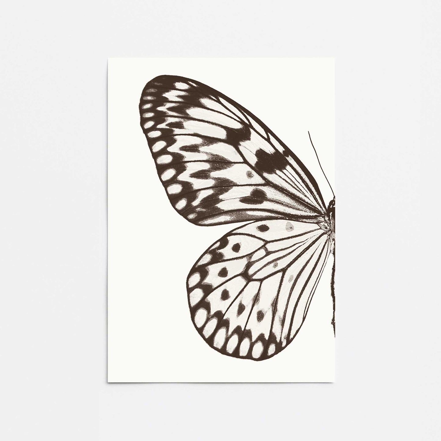 [Color:Rolled Print], Picture of close up of art
