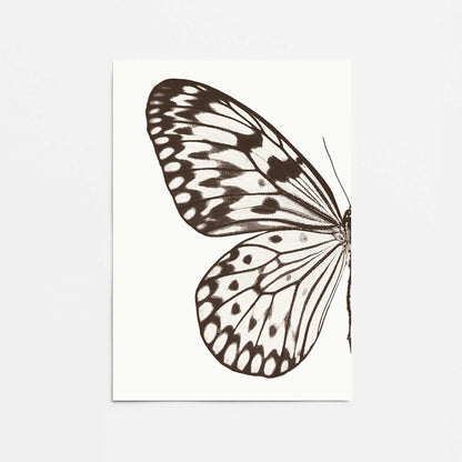 [Color:Rolled Print], Picture of close up of art
