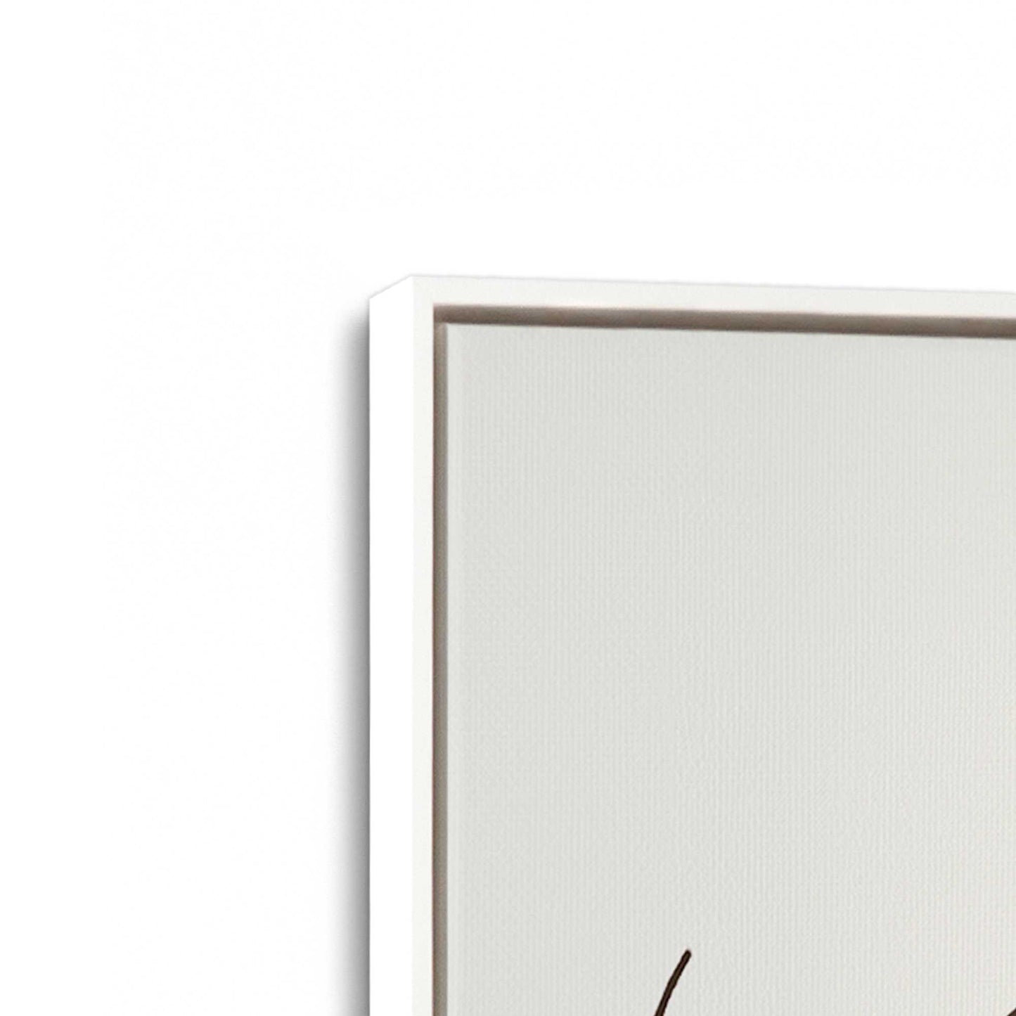 [Color:Opaque White], Picture of art in a White frame at an angle
