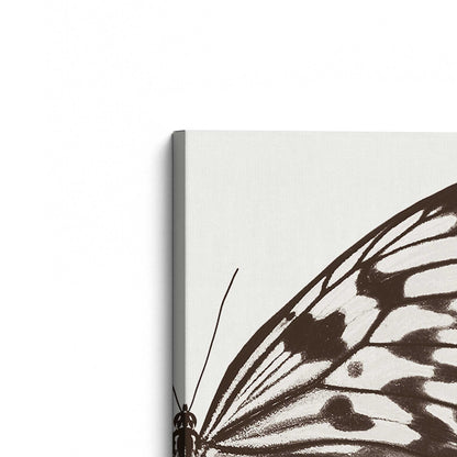 [Color:Stretched Canvas], Picture of the corner of the art