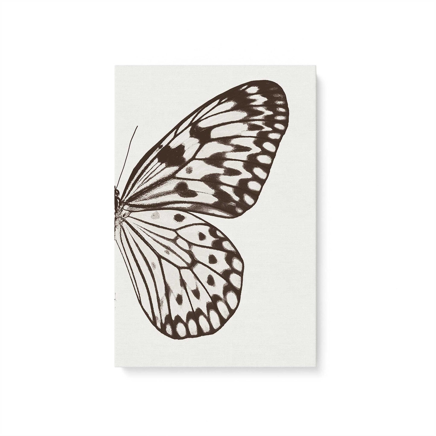 [Color:Stretched Canvas], Picture of art