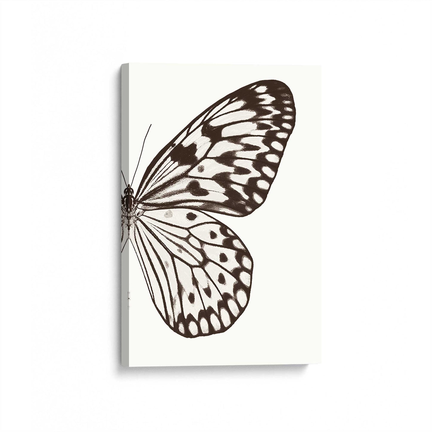 [Color:Stretched Canvas], Picture of art at an angle