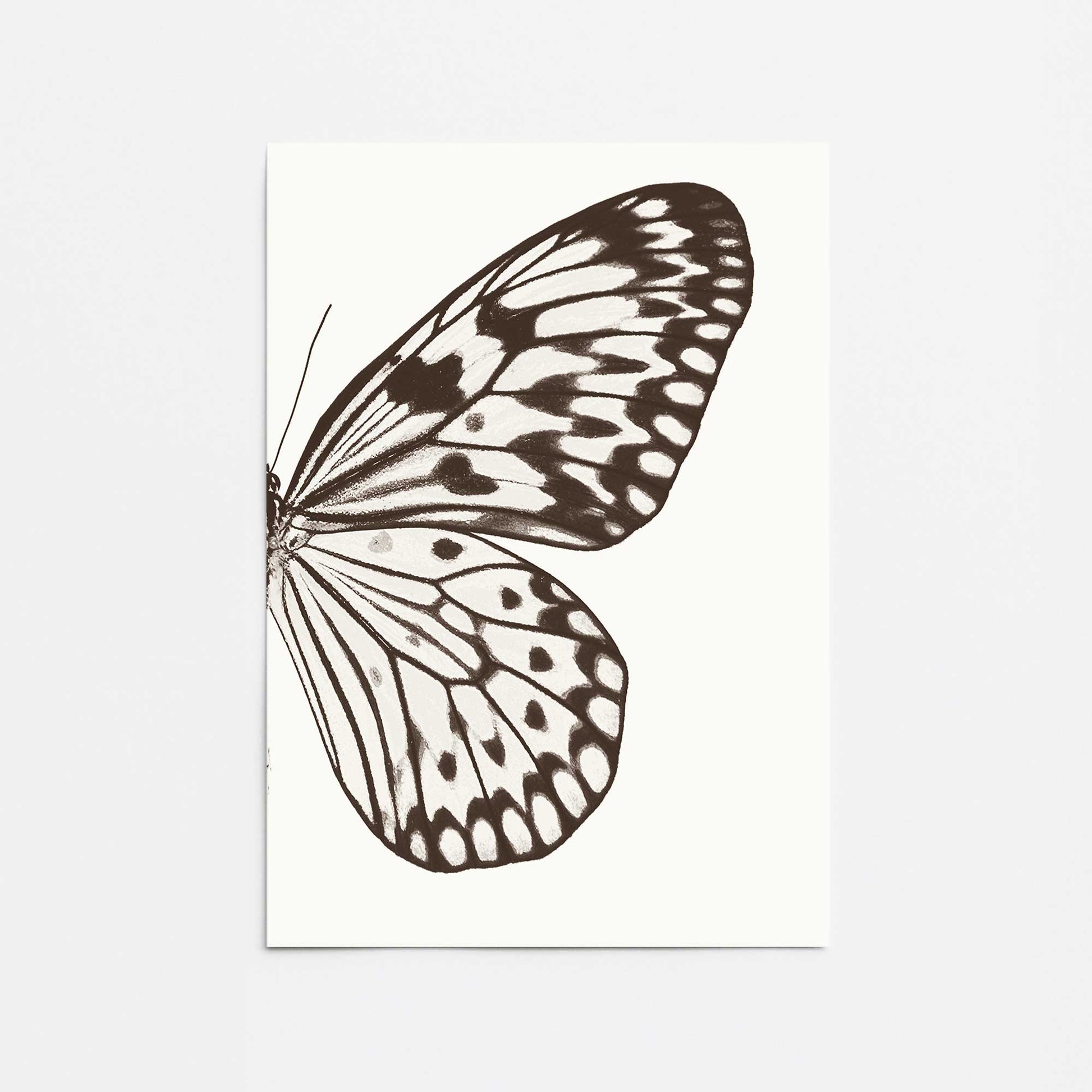 [Color:Rolled Print], Picture of close up of art