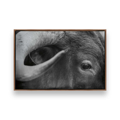 [Color:Walnut], Picture of art in a Walnut frame