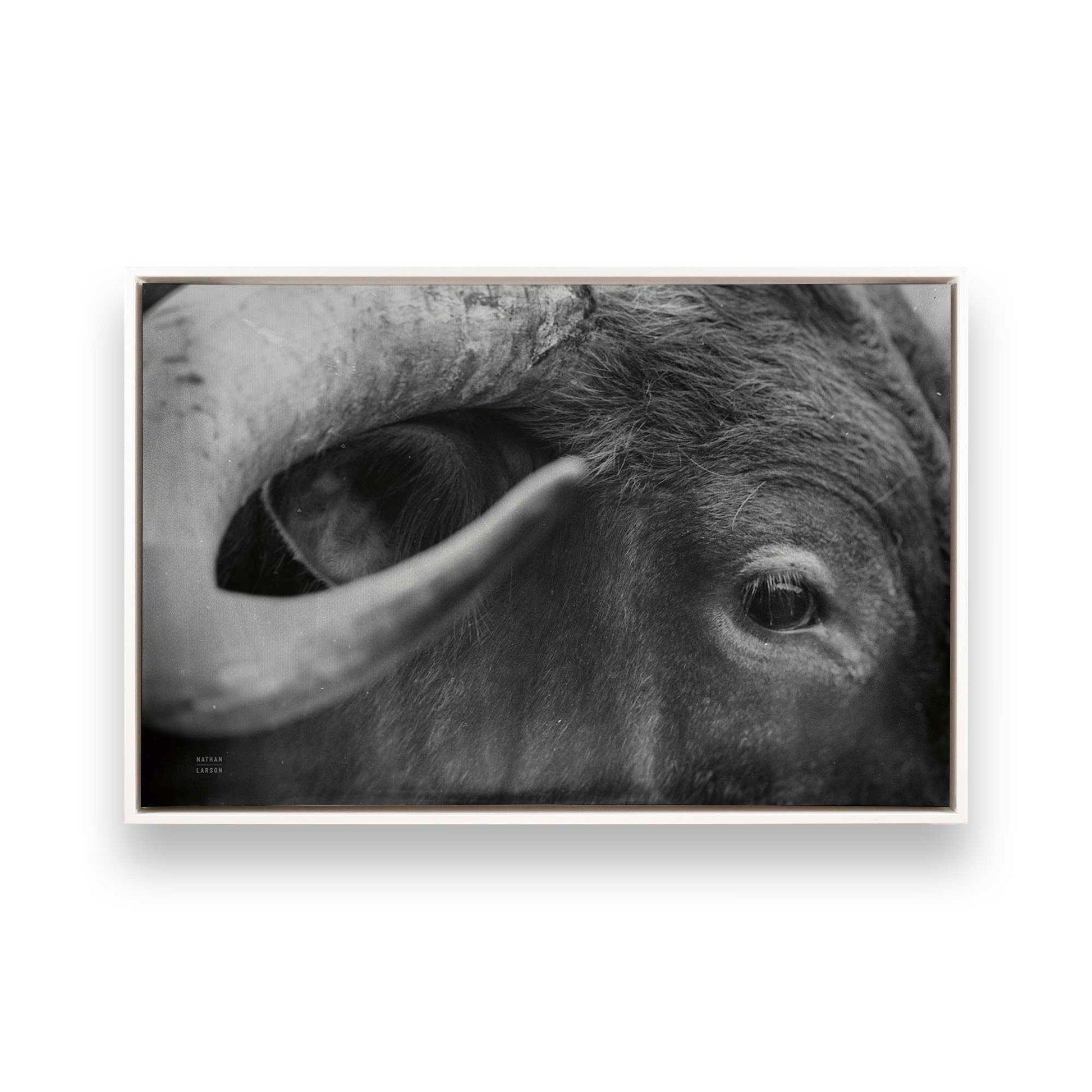 [Color:Opaque White], Picture of art in a White frame