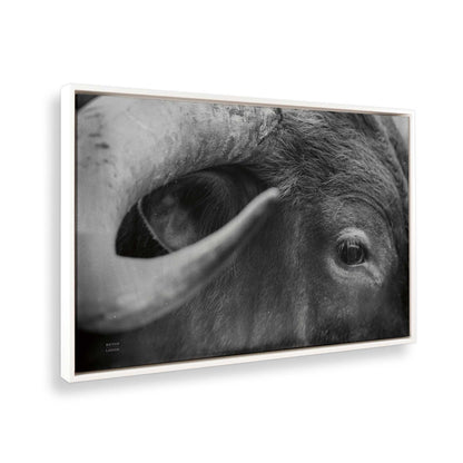 [Color:Opaque White], Picture of the corner of the art