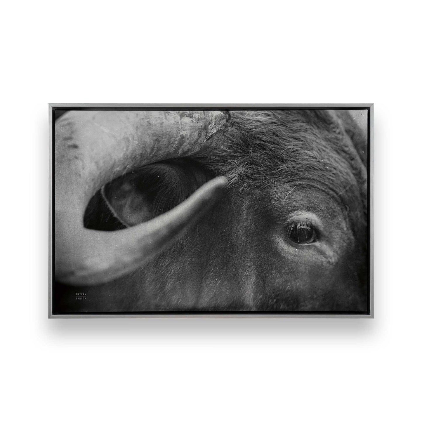 [Color:Polished Chrome], Picture of art in a Polished Chrome frame