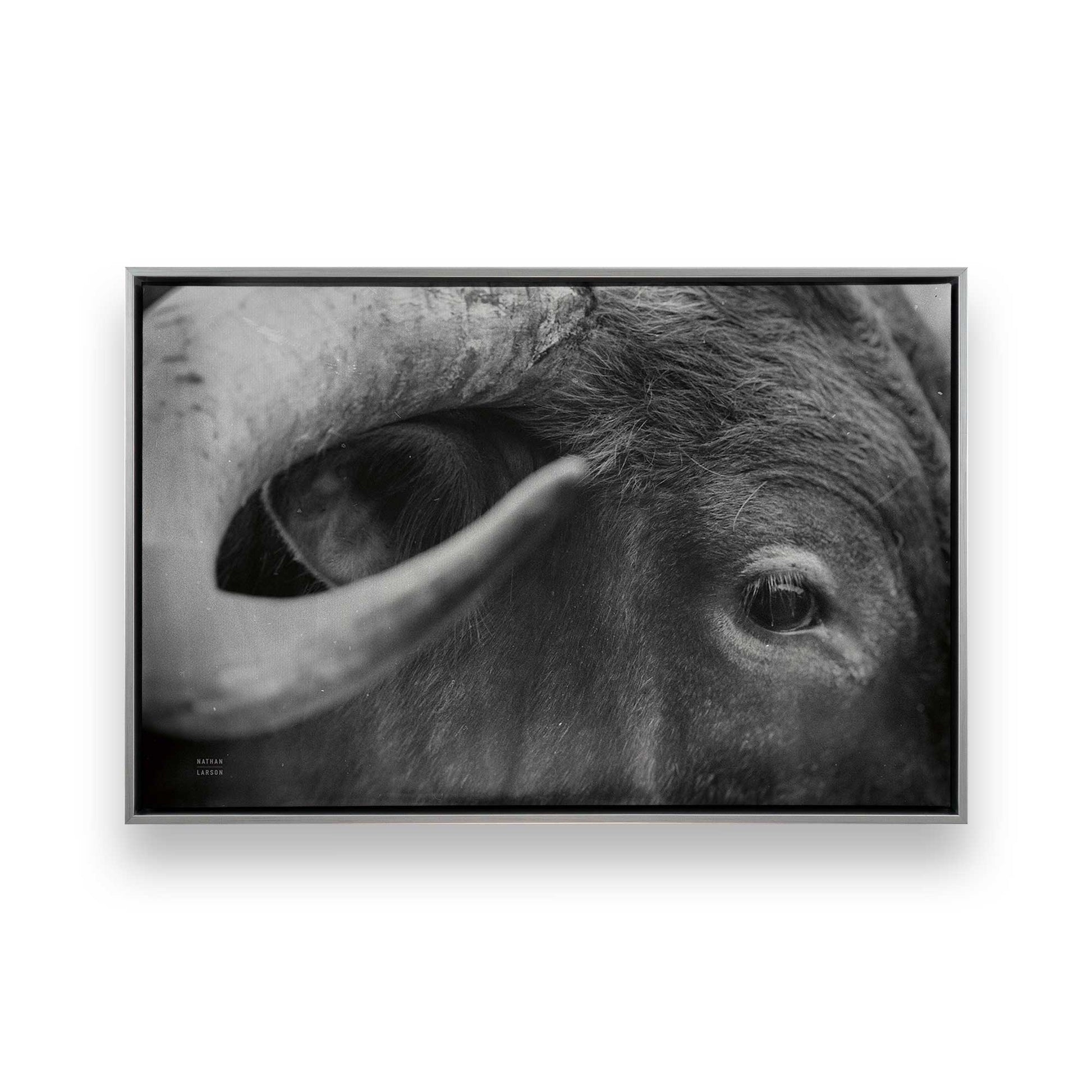 [Color:Polished Chrome], Picture of art in a Polished Chrome frame