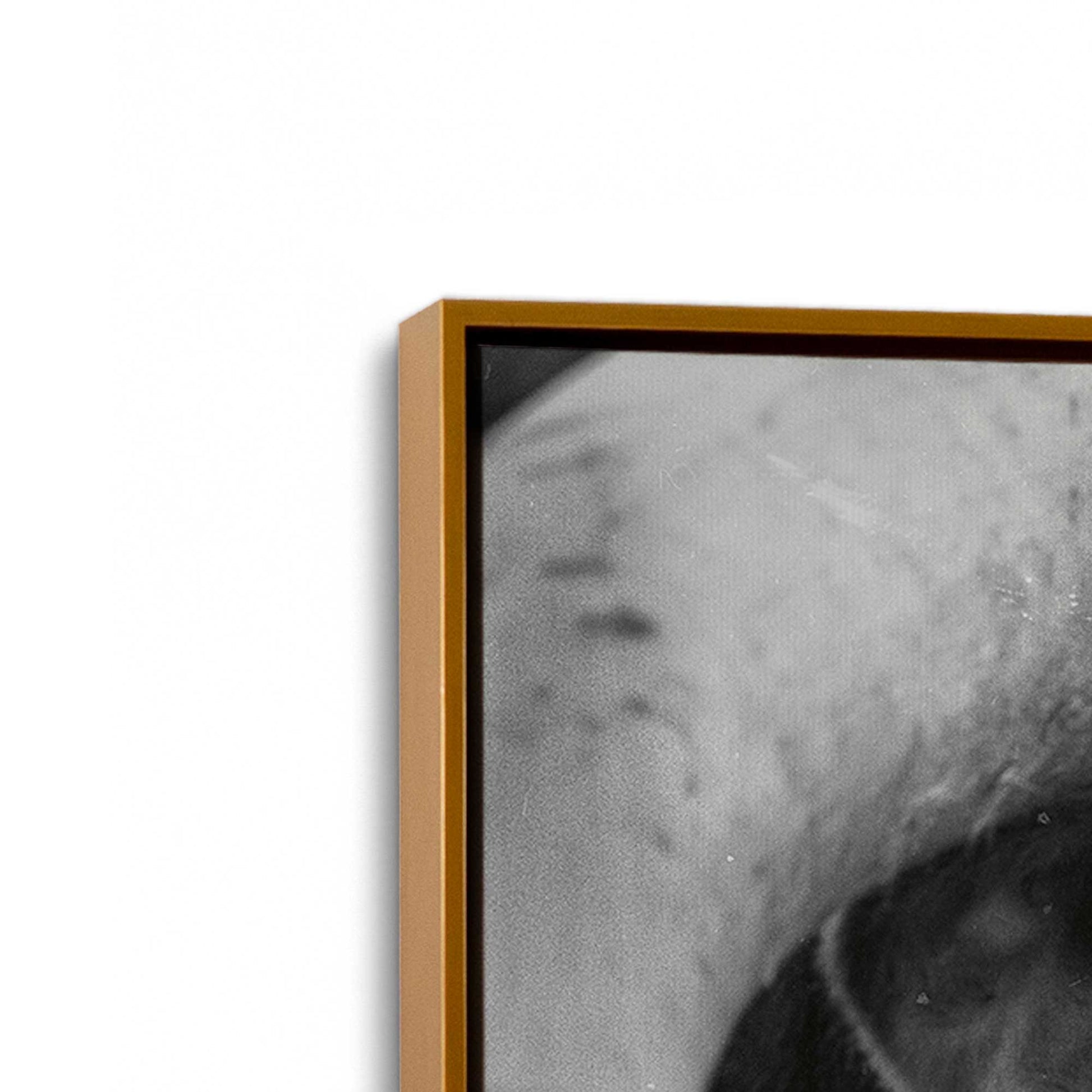 [Color:Polished Gold], Picture of art in a Polished Gold frame at an angle