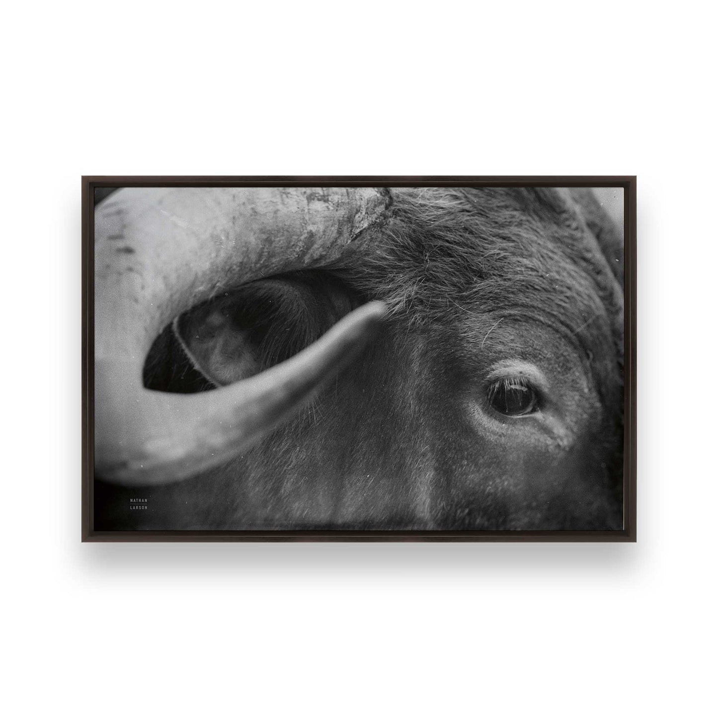 [Color:Espresso], Picture of art in a Espresso frame