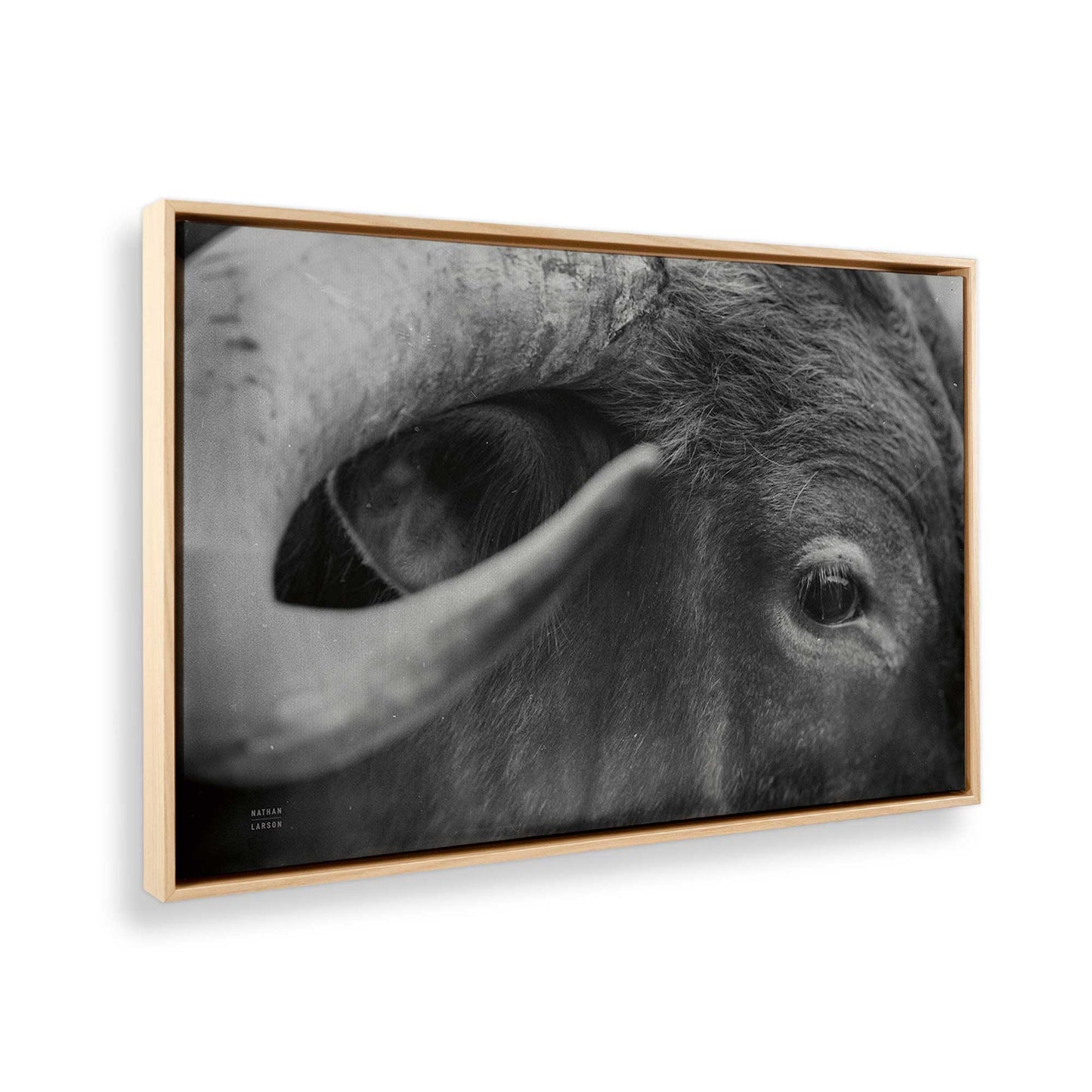 [Color:American Maple], Picture of the corner of the art