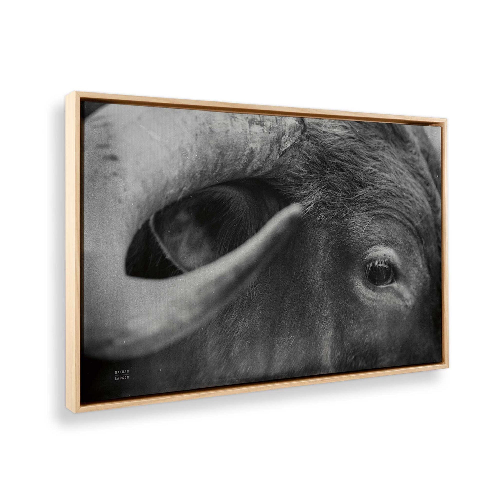 [Color:American Maple], Picture of the corner of the art