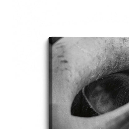 [Color:Stretched Canvas], Picture of the corner of the art