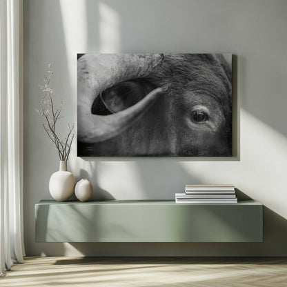 Picture of art in a room