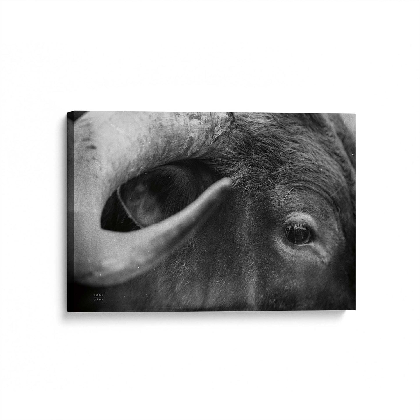 [Color:Stretched Canvas], Picture of art at an angle