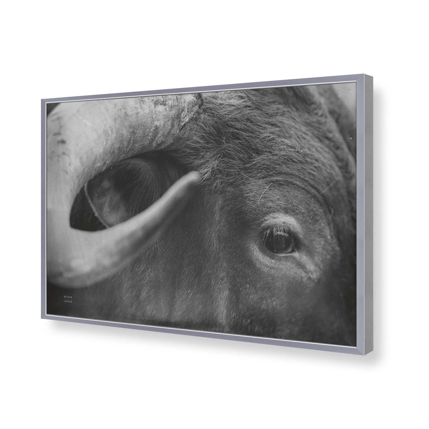 [Color:Polished Chrome], Picture of art in a Polished Chrome frame of the corner