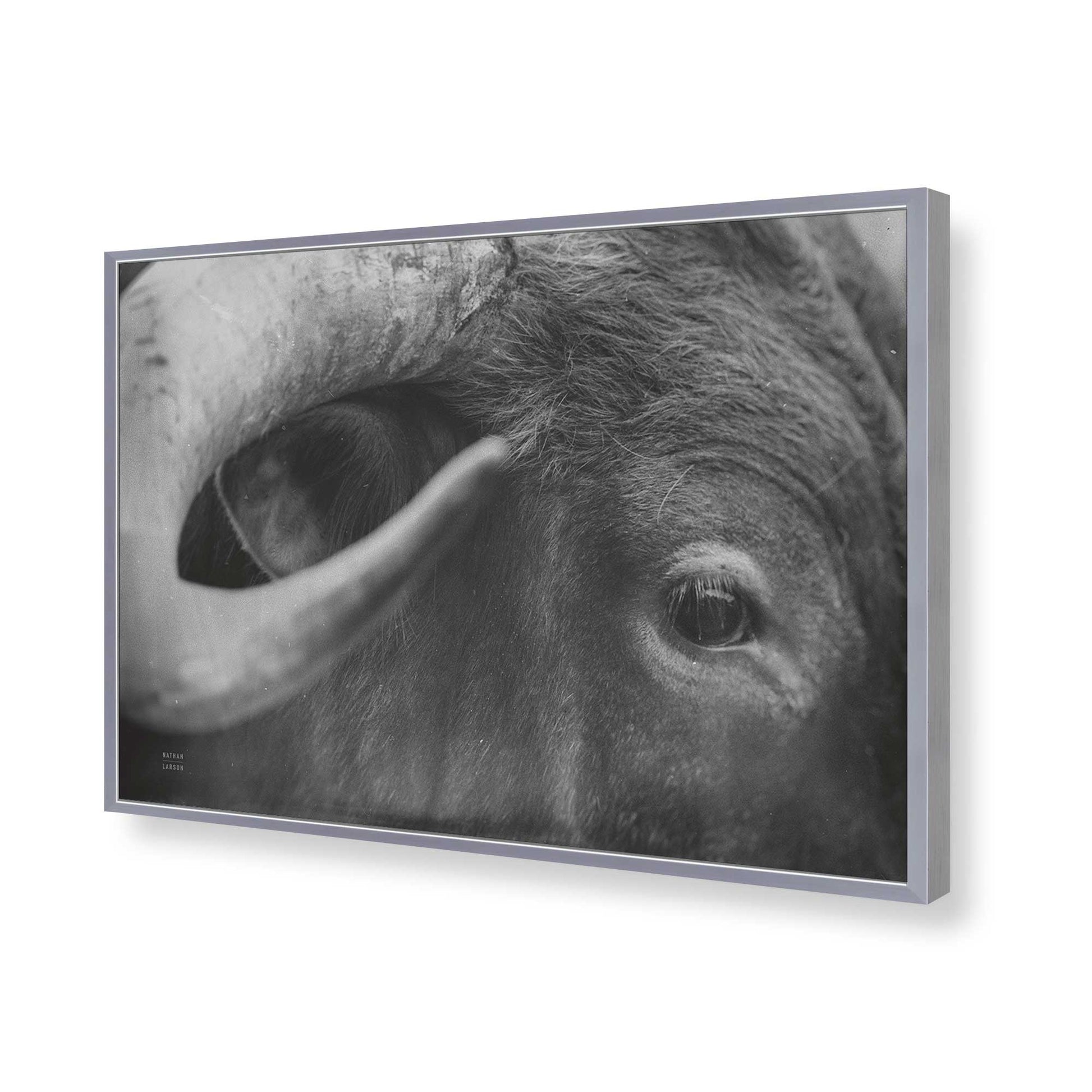 [Color:Polished Chrome], Picture of art in a Polished Chrome frame of the corner