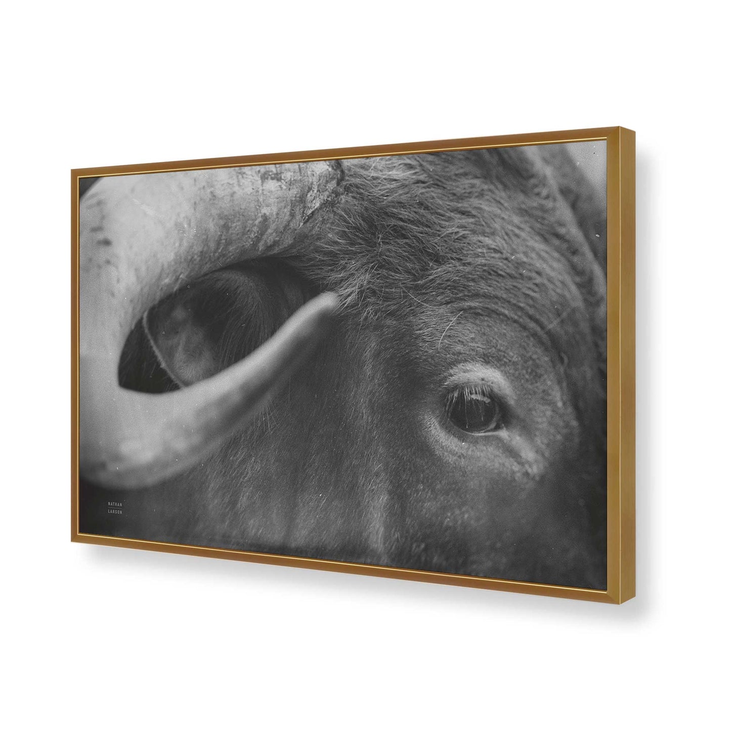 [Color:Polished Gold], Picture of art in a Polished Gold frame of the corner