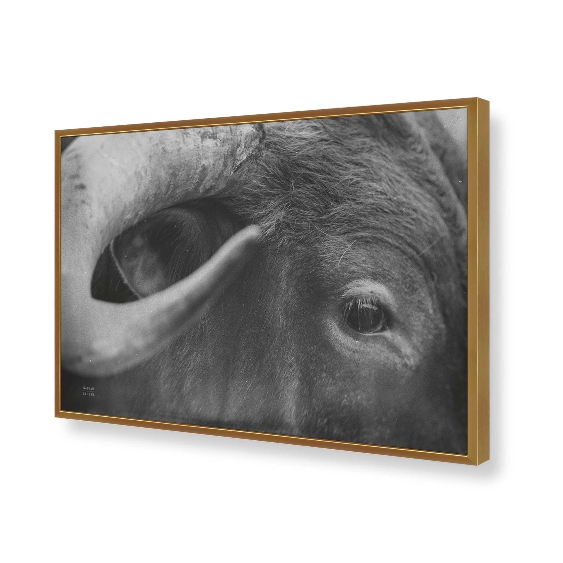 [Color:Polished Gold], Picture of art in a Polished Gold frame of the corner