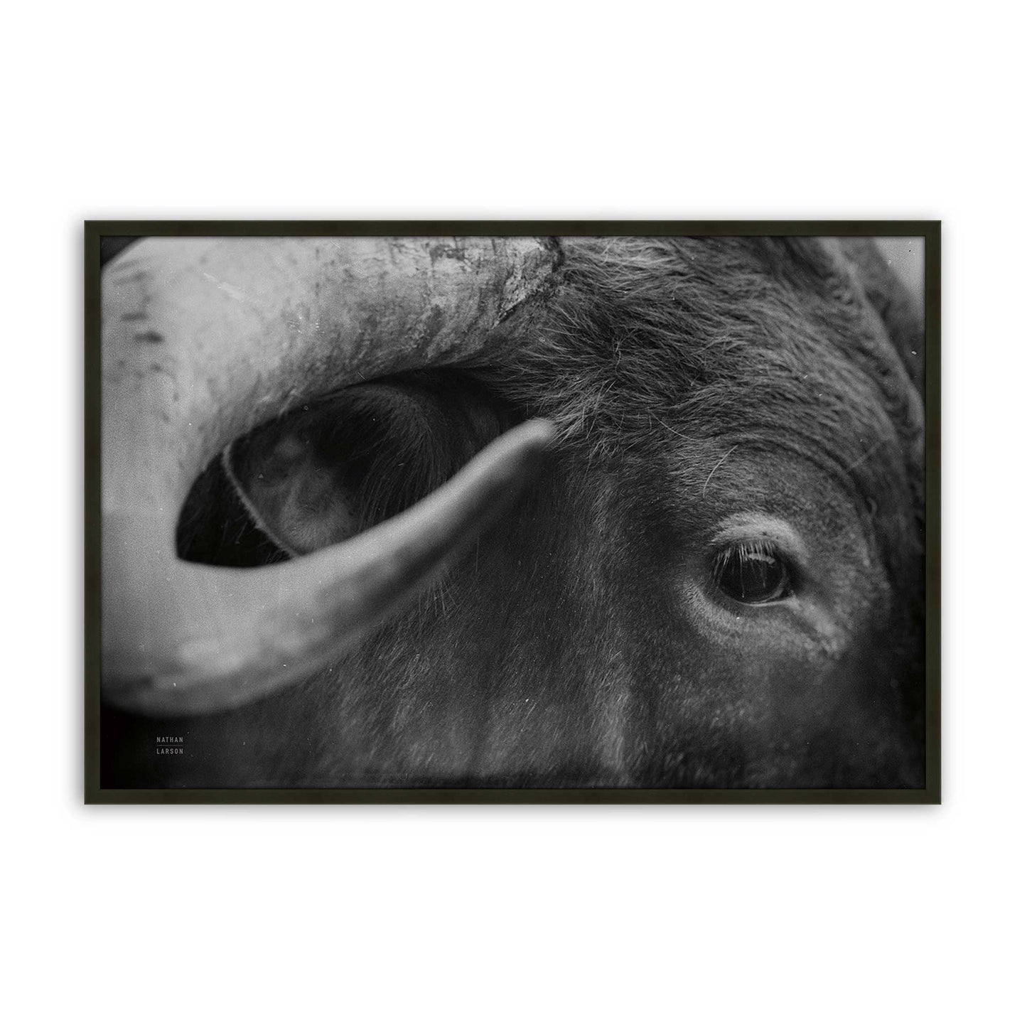 [Color:Satin Black], Picture of art in a Satin Black frame