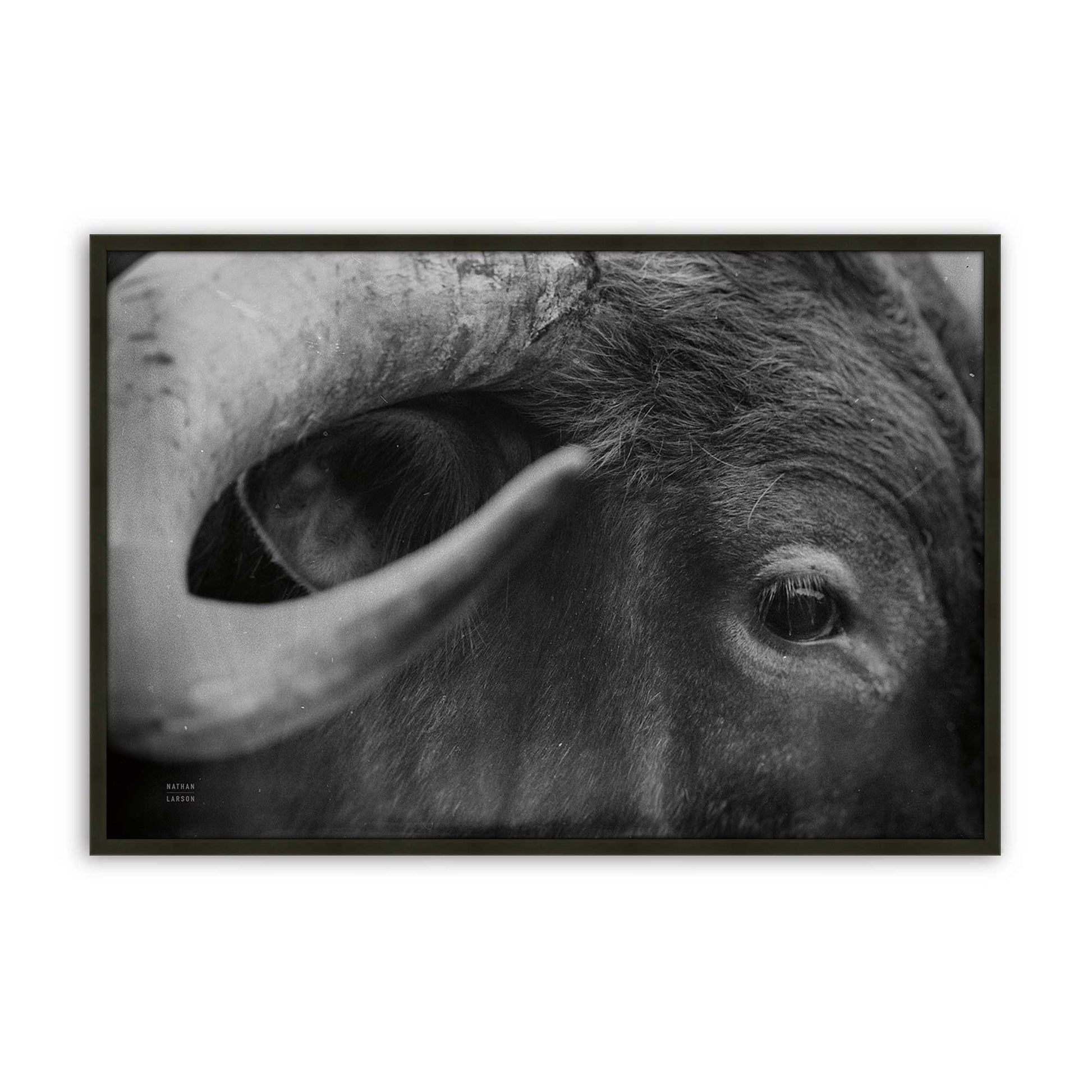 [Color:Satin Black], Picture of art in a Satin Black frame