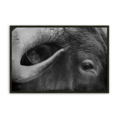 [Color:Satin Black], Picture of art in a Satin Black frame