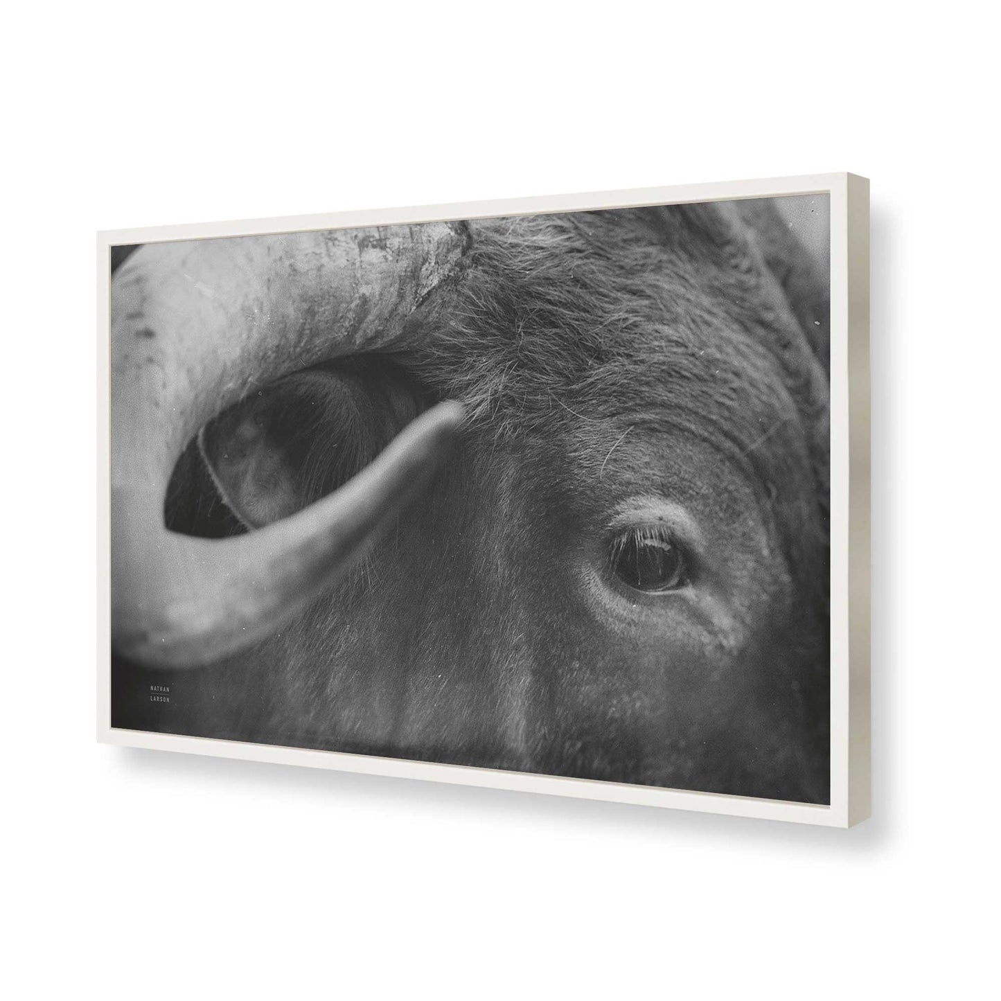 [Color:Opaque White], Picture of art in a Opaque White frame of the corner
