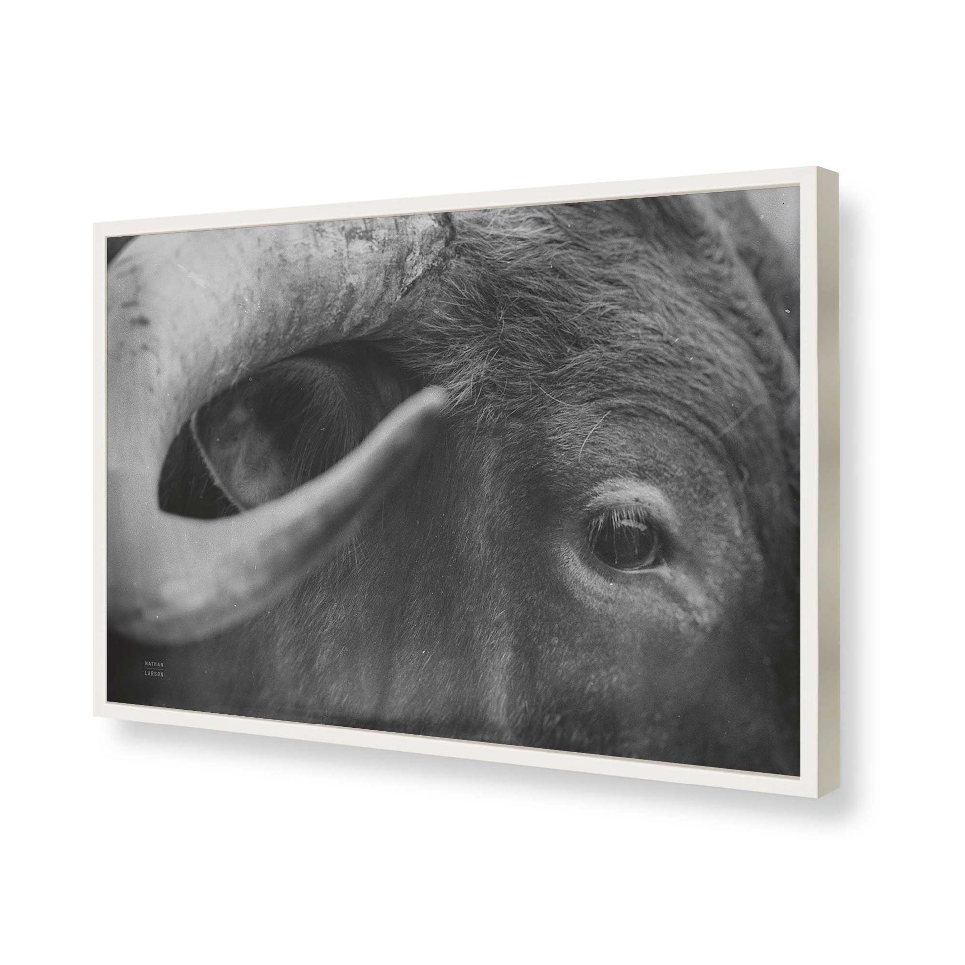 [Color:Opaque White], Picture of art in a Opaque White frame of the corner