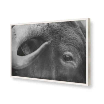 [Color:Opaque White], Picture of art in a Opaque White frame of the corner
