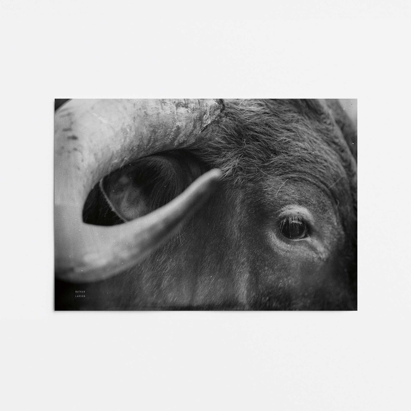 [Color:Rolled Print], Picture of close up of art