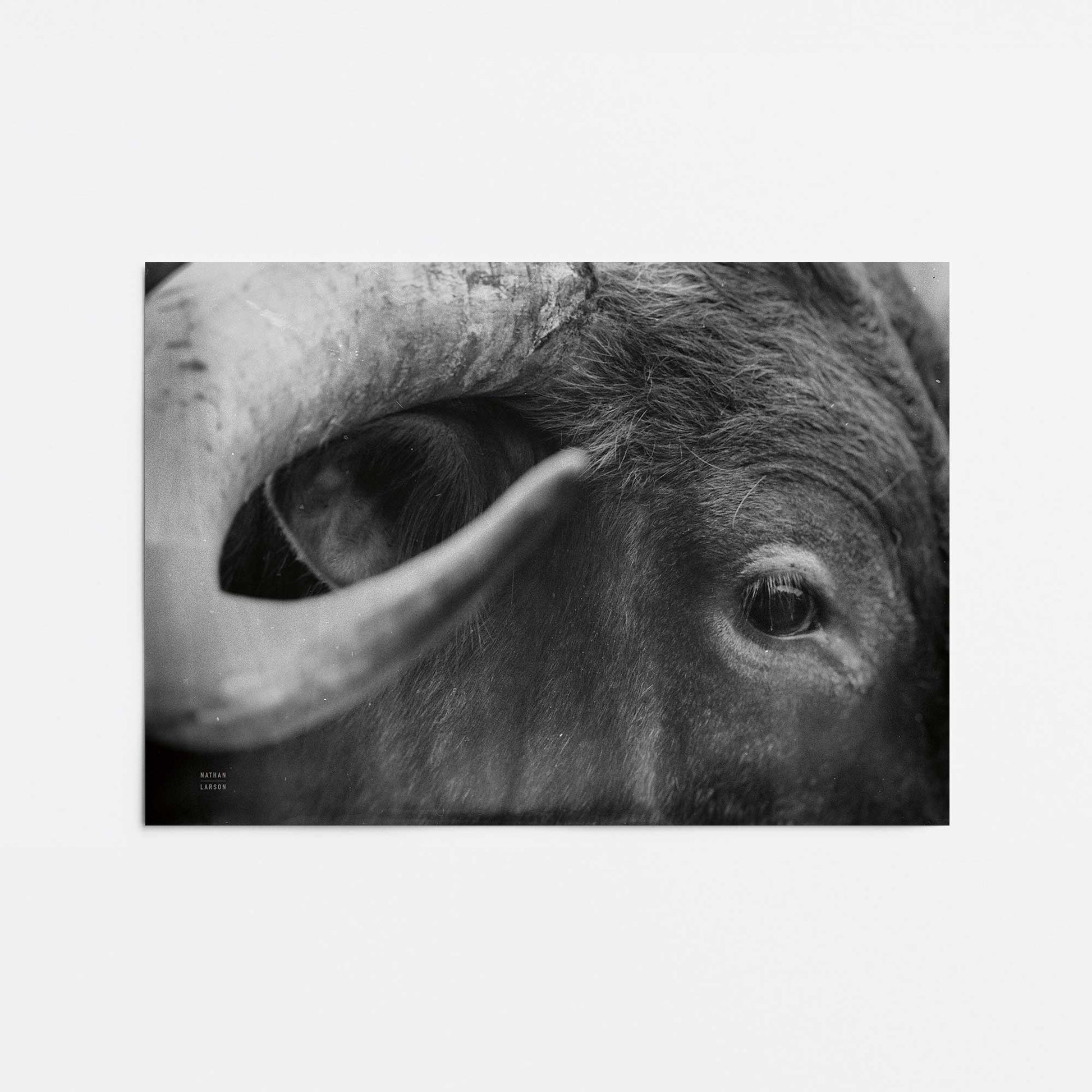 [Color:Rolled Print], Picture of close up of art