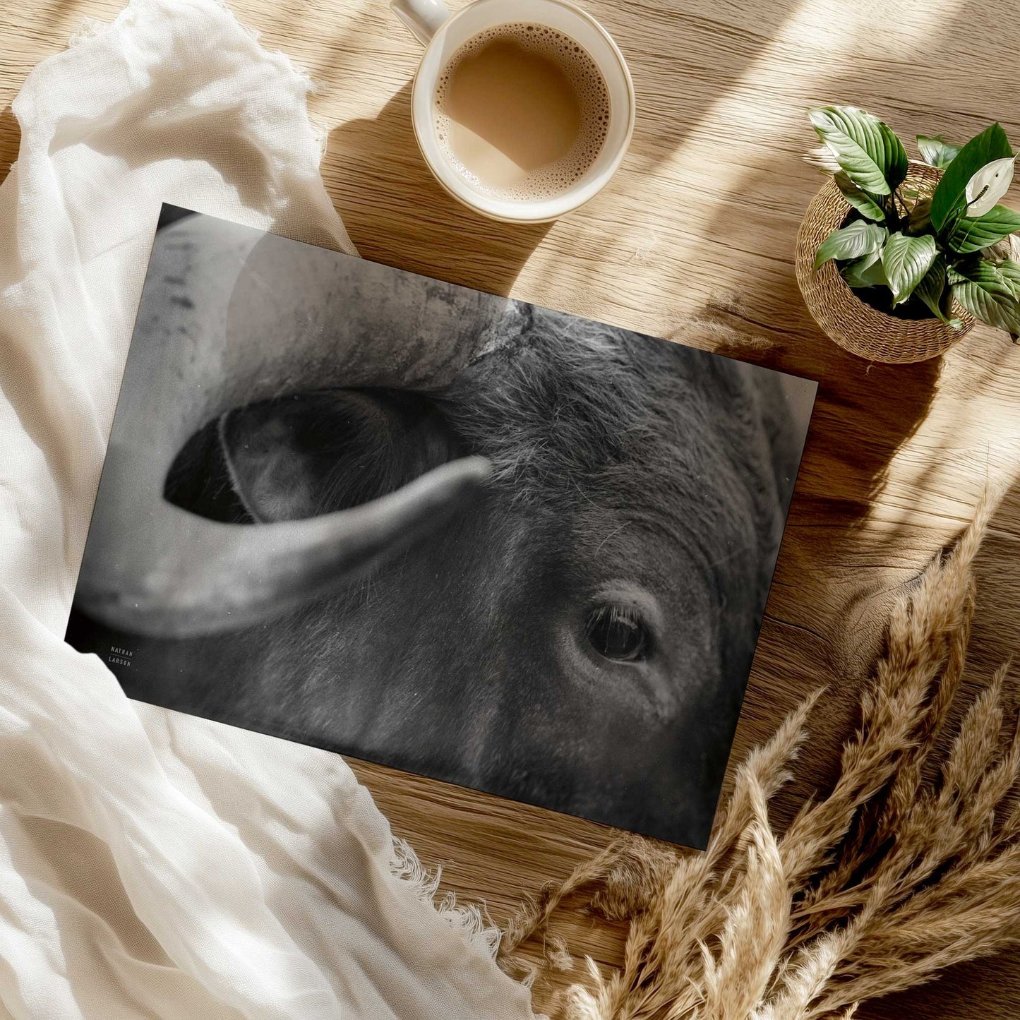 [Color:Rolled Print], Picture of close up of art