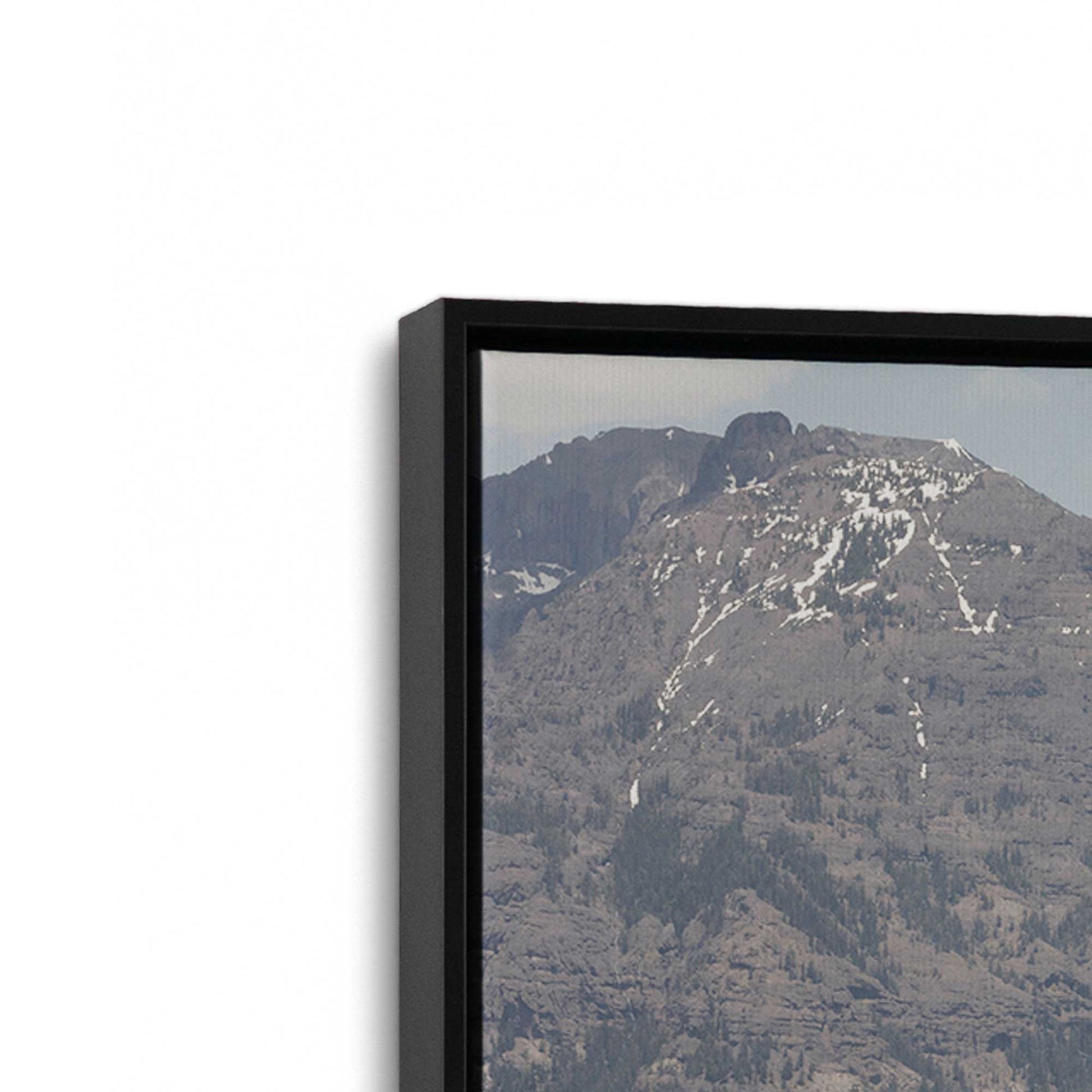 [Color:Satin Black], Picture of art in a Satin Black frame at an angle