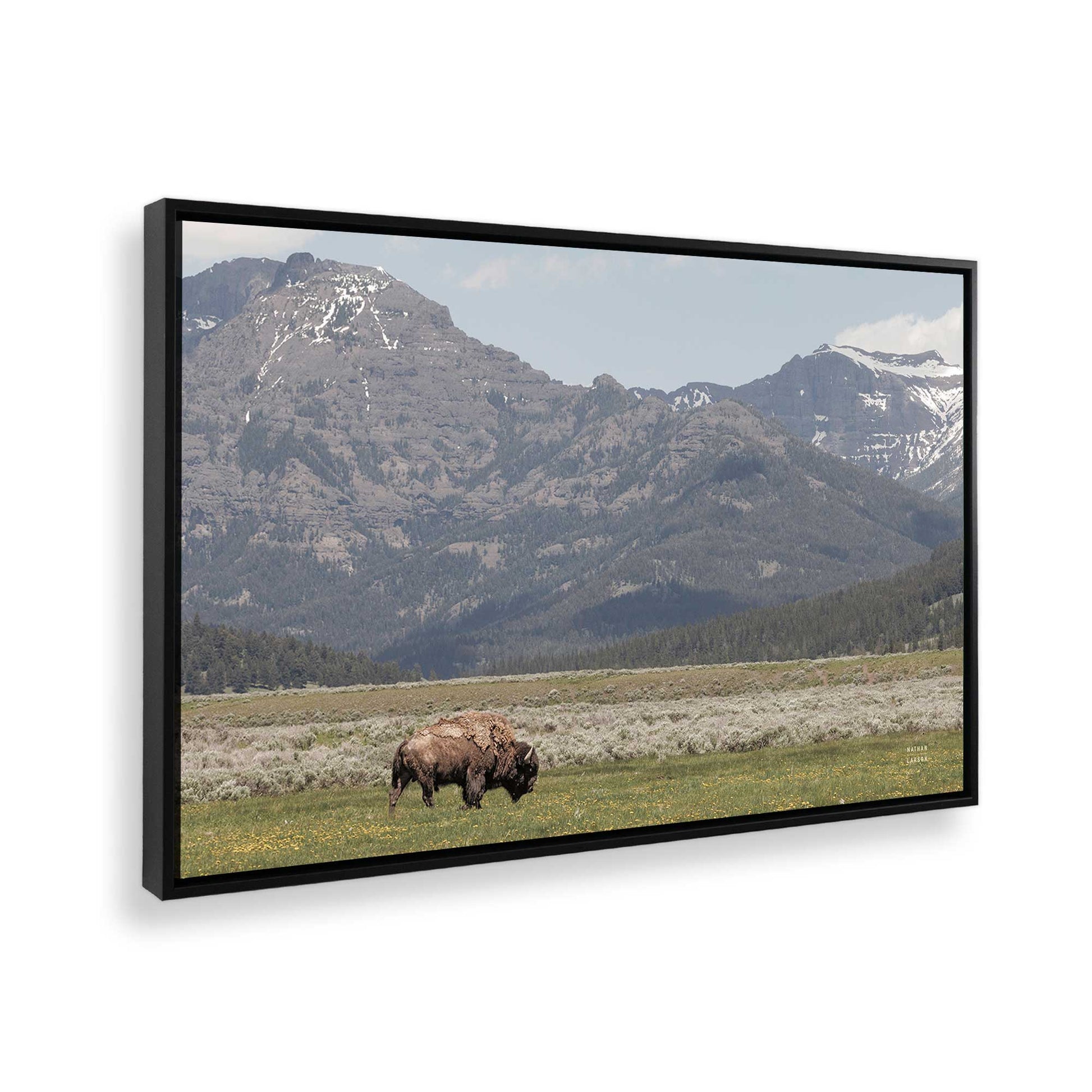 [Color:Satin Black], Picture of the corner of the art