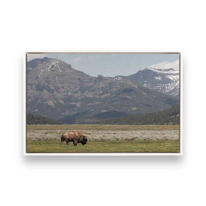 [Color:Opaque White], Picture of art in a White frame